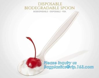 factory direct biodegradable corn starch 5 inch dessert spoon,food grade disposable biodegradable corn starch spoon pac supplier