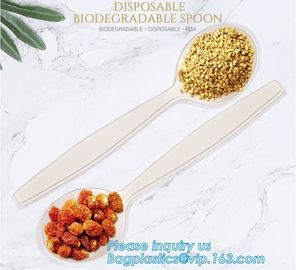 factory direct biodegradable corn starch 5 inch dessert spoon,food grade disposable biodegradable corn starch spoon pac supplier