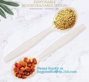 factory direct biodegradable corn starch 5 inch dessert spoon,food grade disposable biodegradable corn starch spoon pac supplier