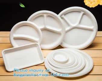 Biodegradable Disposable Sugarcane Bagasse Party Plate,Eco-friendly sugarcane bagasse paper plate/disposable compostable supplier