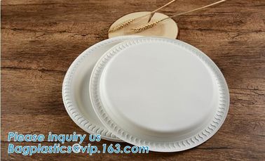 100% biodegradable and compostable sugarcane disposable paper plate 10&quot;x8&quot;oval plate,7 inch round disposable tableware s supplier