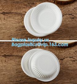 100% biodegradable and compostable sugarcane disposable paper plate 10&quot;x8&quot;oval plate,7 inch round disposable tableware s supplier