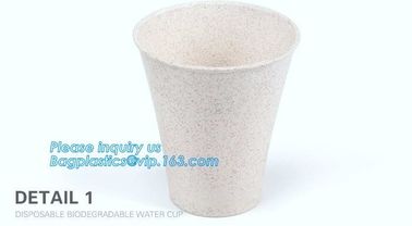 Custom Disposable Clear Cold Drink Juice Cup 100% Ecofriendly Biodegradable Compostable PLA Plastic Coffee Drinking Cup supplier