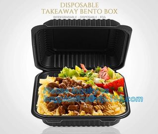 Natural Compostable 3 Compartment Biodegradable Disposable Corn Starch Food Container,starch 4 compartment microwave foo supplier