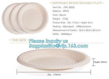 Online Shopping 10 Inch Biodegradable Disposable Sugarcane Bagasse Party Plate,Sugarcane Bagasse Paper Plate/Compostable supplier