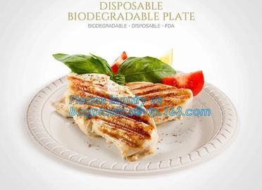 Online Shopping 10 Inch Biodegradable Disposable Sugarcane Bagasse Party Plate,Sugarcane Bagasse Paper Plate/Compostable supplier