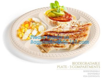 Eco Friendly Biodegradable Sugarcane Bagasse Plates Disposable,Sugarcane Bagasse Pulp Disposable Biodegradable Plate For supplier
