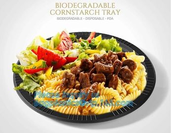 Eco Friendly Biodegradable Sugarcane Bagasse Plates Disposable,Sugarcane Bagasse Pulp Disposable Biodegradable Plate For supplier