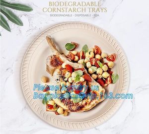 Eco Friendly Biodegradable Sugarcane Bagasse Plates Disposable,Sugarcane Bagasse Pulp Disposable Biodegradable Plate For supplier