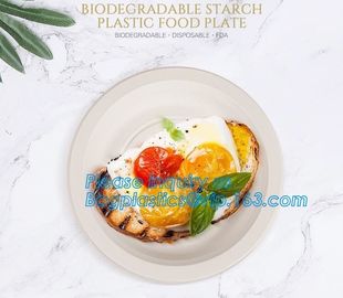 custom printed party plates disposable sugarcane bagasse plate Biodegradable Bamboo disposable paper plates bagease pack supplier