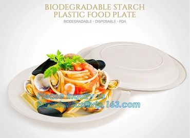 custom printed party plates disposable sugarcane bagasse plate Biodegradable Bamboo disposable paper plates bagease pack supplier