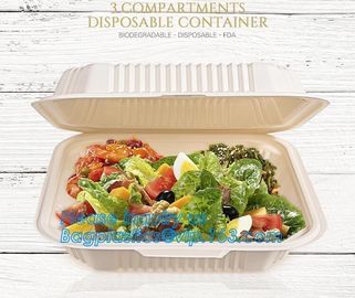 Disposable corn starch bento lunch box takeaway food container,take away box PLA PP mixed biodegradable corn starch food supplier