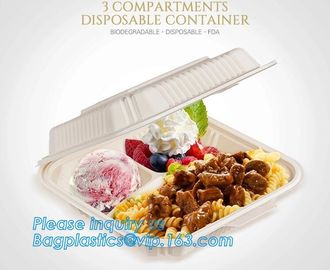 Disposable corn starch bento lunch box takeaway food container,take away box PLA PP mixed biodegradable corn starch food supplier