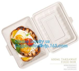 Disposable corn starch bento lunch box takeaway food container,take away box PLA PP mixed biodegradable corn starch food supplier