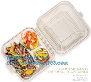 Disposable corn starch bento lunch box takeaway food container,take away box PLA PP mixed biodegradable corn starch food supplier