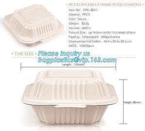 Disposable corn starch bento lunch box takeaway food container,take away box PLA PP mixed biodegradable corn starch food supplier