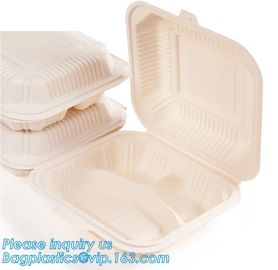 Disposable corn starch bento lunch box takeaway food container,take away box PLA PP mixed biodegradable corn starch food supplier