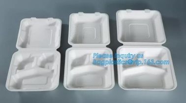 biodegradable corn starch fast food container,Biodegradable Box Corn Starch Food Container Manufactures bagease package supplier