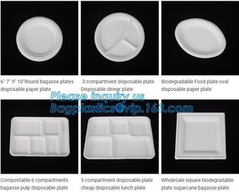 biodegradable corn starch fast food container,Biodegradable Box Corn Starch Food Container Manufactures bagease package supplier