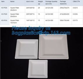 Eco Friendly sugarcane bagasse plates display tray,disposable 5 compartments sugarcane pulp plates with lid, bagplastics supplier