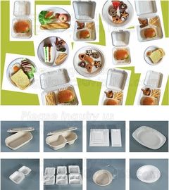 Amazon top seller 2018 1500ml square 3 compartments biodegradable corn starch disposable lunch container bagease bagplas supplier