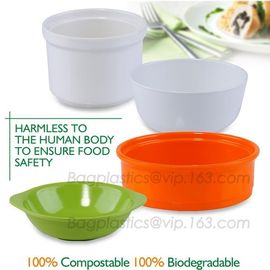 PLA unique clear fruit salad bowl,FDA SGS certificated disposable biodegradable CPLA coffee stirrer for paper cups pac supplier