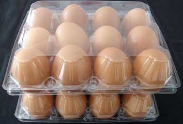 2 compartments clamshell, rectangular eco friendly real manufacturer, pp plastic type and tray lunch boxes FDA approved supplier