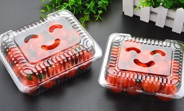 Hot Selling Plastic PET Sandwich Containers Cake Bread Container Plastic Takeaway Food Box with conjoined cover bagease supplier