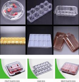 Hot Selling Plastic PET Sandwich Containers Cake Bread Container Plastic Takeaway Food Box with conjoined cover bagease supplier