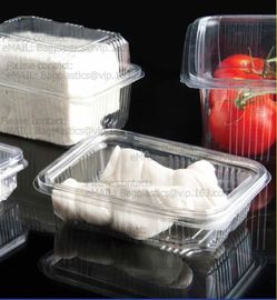 Factory Blister Plastic Storage Box Food Packaging Containers Disposable Supplier,containers plastic macaron blister cla supplier