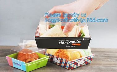 Plastic food container wholesale lunch box takeout,PET Plastic container Susi box Salad box,sushi serving food trays sus supplier