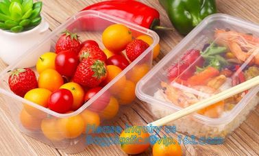 Premium Meal Prep Containers 3 Compartment BPA-FREE Food storage Microwavable Dishwasher Safe plastic Lunch bento box supplier