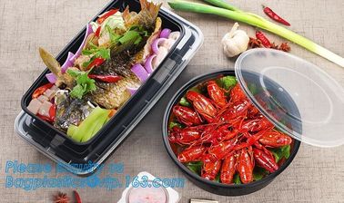 Plastic Food Container Lunch Box With 5 cells Compartments 304 Stainless Steel Bento Lunch Box Leakproof Kids and Studen supplier