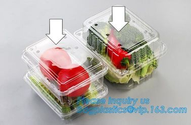 Blister Packaging Food Container,Disposable Blister Fruit Salad Container,Plastic blister fruit box / container / fruit supplier