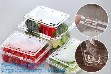 Blister Packaging Food Container,Disposable Blister Fruit Salad Container,Plastic blister fruit box / container / fruit supplier