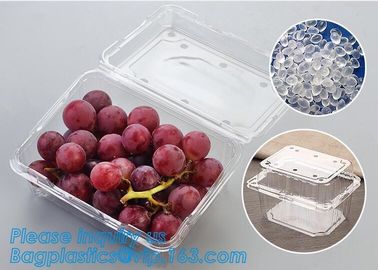 Blister Packaging Food Container,Disposable Blister Fruit Salad Container,Plastic blister fruit box / container / fruit supplier