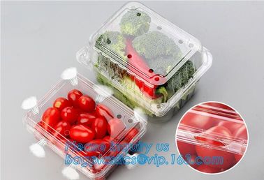 Blister Packaging Food Container,Disposable Blister Fruit Salad Container,Plastic blister fruit box / container / fruit supplier