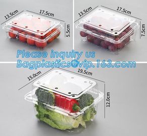 Blister Packaging Food Container,Disposable Blister Fruit Salad Container,Plastic blister fruit box / container / fruit supplier