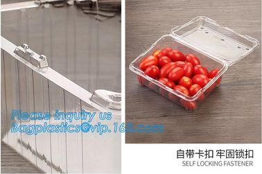 Blister Packaging Food Container,Disposable Blister Fruit Salad Container,Plastic blister fruit box / container / fruit supplier