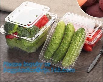 Blister Packaging Food Container,Disposable Blister Fruit Salad Container,Plastic blister fruit box / container / fruit supplier