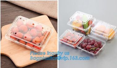 Blister Packaging Food Container,Disposable Blister Fruit Salad Container,Plastic blister fruit box / container / fruit supplier