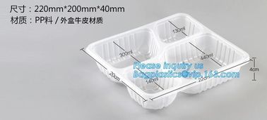 650ml hot selling disposable pp plastic snack food boxfood grade disposable plastic food sushi box container tray packag supplier