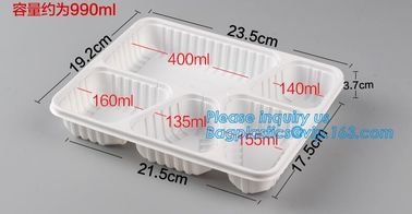 inside food plastic tray,egg/chocolate/cookie tray,Vacuum Formed Blister Pet custom food trays biodegradable disposable supplier