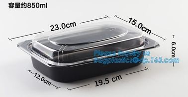 Disposable PP plastic food container 3 compartment containers / bento box / meal prep containers,food containers square supplier