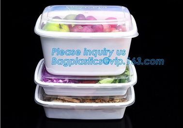 Factory Direct Lid Plastic Lunch Box Clear Food Container,Keep Fresh Crisper Food Box,Fresh Boxpp packaging disposable c supplier