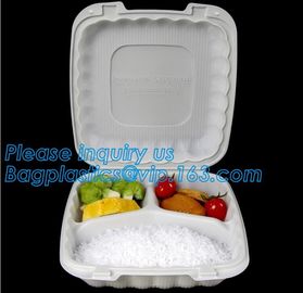 Compartment Food Container Round Food Containers Rectangular Food Containers Deli Containers BAGEASE BAGPLASTICS PACKAGE supplier