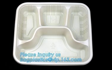 Personalized plastic food box sushi packaging tray,Food Use and Tray Type disposable plastic sushi tray,fast food tray,p supplier