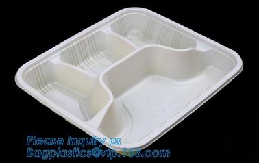 Personalized plastic food box sushi packaging tray,Food Use and Tray Type disposable plastic sushi tray,fast food tray,p supplier