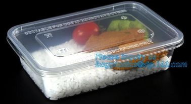 transparent pp bento box,lunch box plastic disposable compartment food containers,food,lunch,BBQ,noodles,salad,corn kern supplier