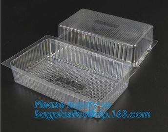 Disposable custom blister PET food packaging plastic container cookie biscuit tray,PET blister packaging compartment hin supplier